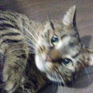 Meet your Posher, Gabriela